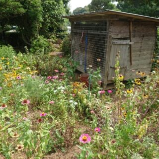 小屋解体の手順について