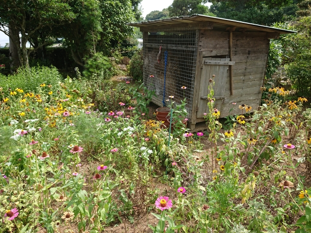 小屋解体の手順について
