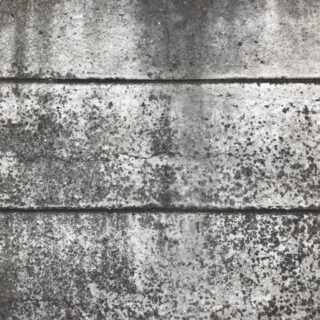 万年塀の解体について