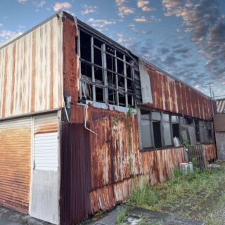 空き家のシロアリ被害について